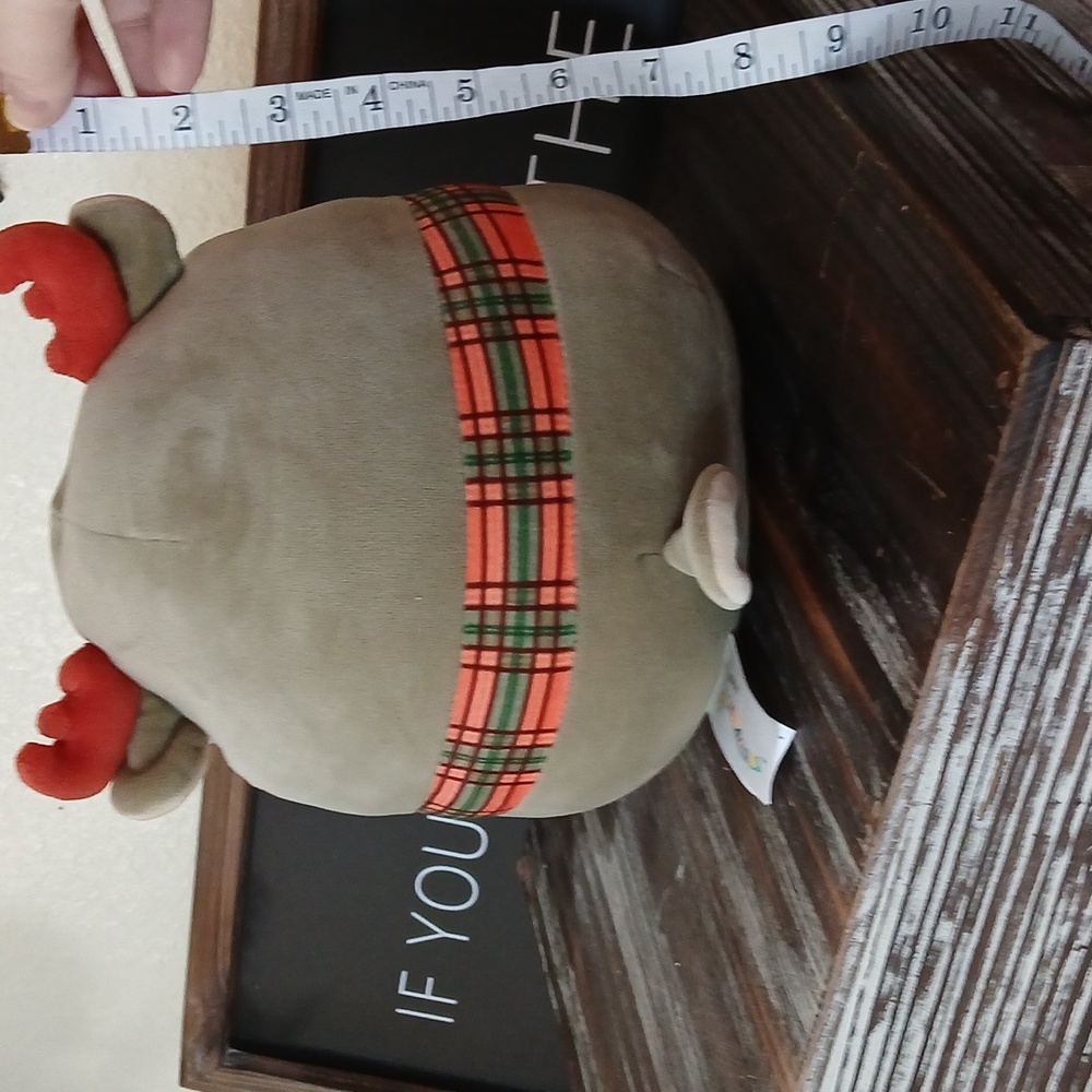 Patterson the Moose squishmallow - Picture 4 of 4